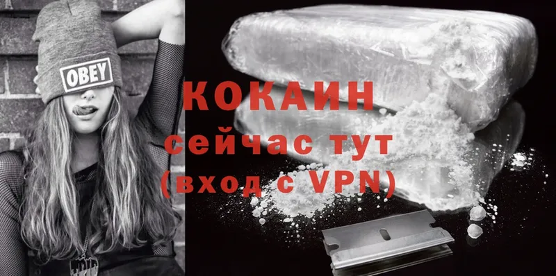 mega   наркошоп  Камень-на-Оби  Cocaine Эквадор 